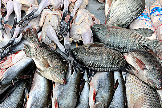 鱼肉,鸡,食物,市场,琅勃拉邦,老挝,东南亚