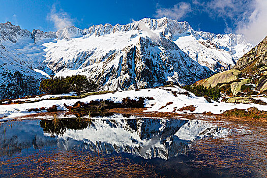 早,雪,苔藓,水塘,正面,攀升,阿尔卑斯山,山谷,瑞士