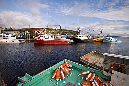 龙虾艇,港口,新布兰斯维克,加拿大