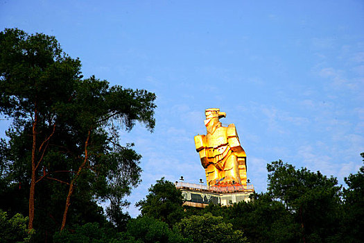 大金鹰园是重庆南山植物园中心园区的主要景点