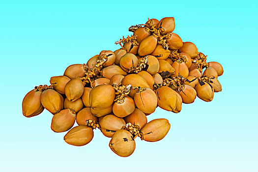 海南三亚大小洞天游览区的椰子水果摊