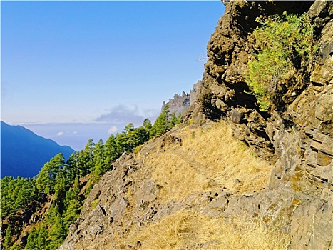 火山口,国家公园,帕尔玛