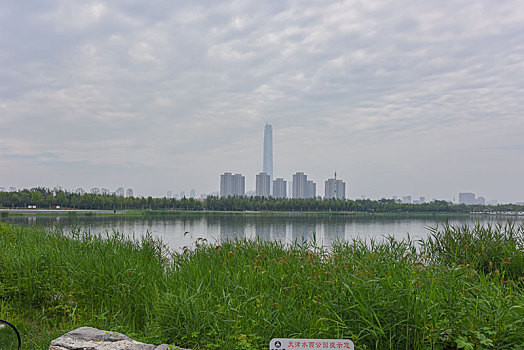 天津市西青区水西公园郊野风光