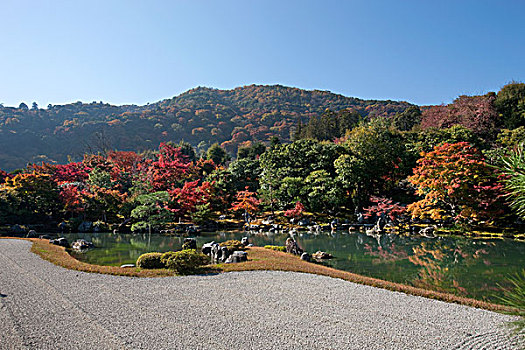水塘,日式庭园,庙宇,京都,日本