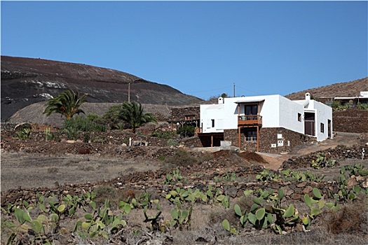乡村,房子,加纳利群岛,兰索罗特岛,西班牙