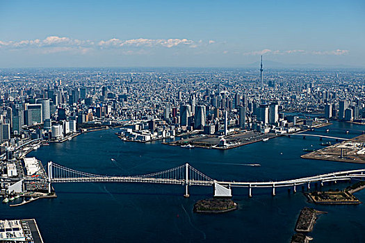 东京,天空,树,彩虹桥