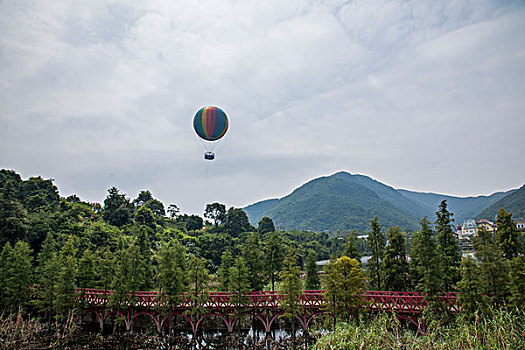广东省深圳市大梅沙东部华侨城茶溪谷湿地落羽桥边的氦气球