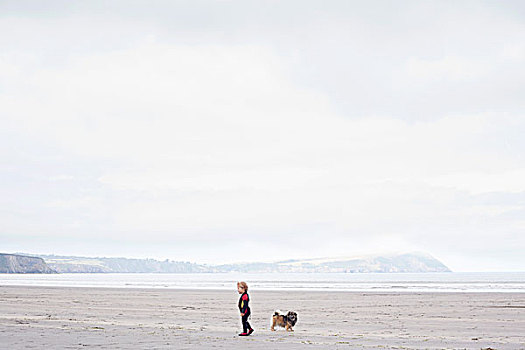 男孩,狗,海滩