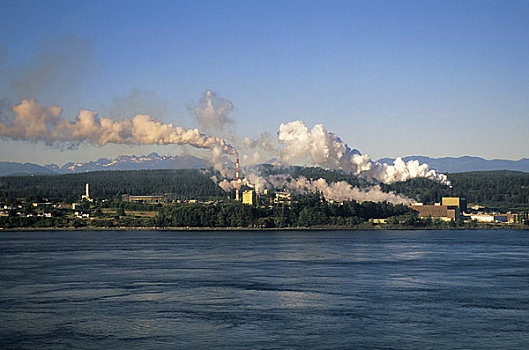 加拿大,不列颠哥伦比亚省,温哥华岛,坎贝尔河,纸浆厂,污染