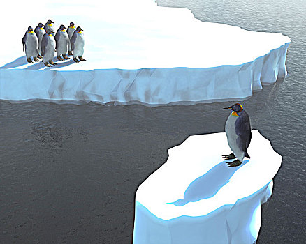 一个,企鹅,冰山