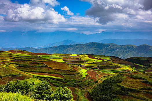 东川红土地的光影