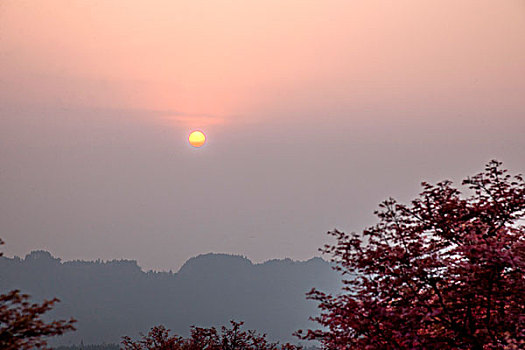 重庆五洲生态园枫叶林中的落日