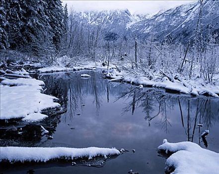 海狸塘,楚加奇州立公园,阿拉斯加,冬天,景色