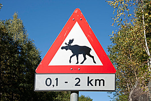 小心,标识,警告,麋鹿,挪威,斯堪的纳维亚,欧洲