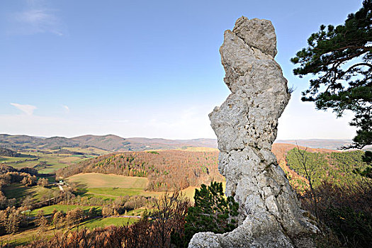 石头,尖顶,山谷,下奥地利州,奥地利,欧洲