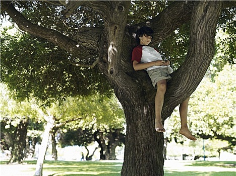 男孩,10-12岁,坐,树上,公园,听,mp3播放器,微笑