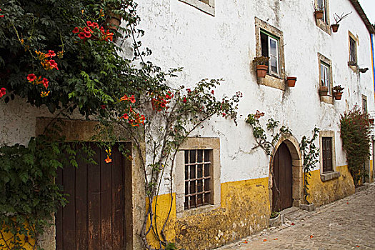葡萄牙,奥比都斯,房子,中世纪,城镇,区域,传说,彩色,条纹,涂绘,仰视,建筑,邪恶
