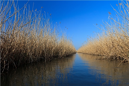 湖水,水道