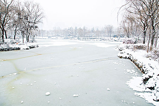 雪景