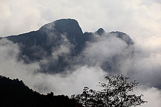 山,云海,雾