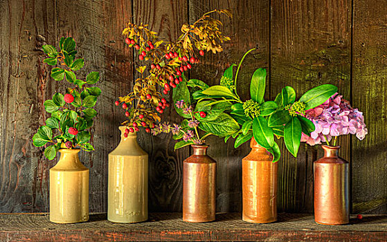静物,图像,干花,乡村,花瓶,风化,木质背景