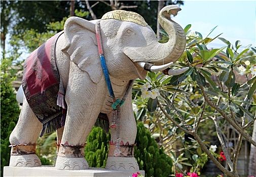 泰国人,大象