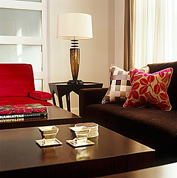 客厅,公寓,纽约,沙发,扶手椅,对比,彩色,放置,茶几