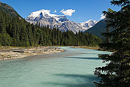 罗布森山,河,靠近,不列颠哥伦比亚省,加拿大