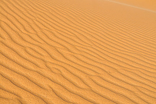 沙丘,却比沙丘,摩洛哥,非洲