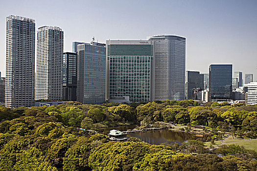 日本,东京,天际线,哈马,花园
