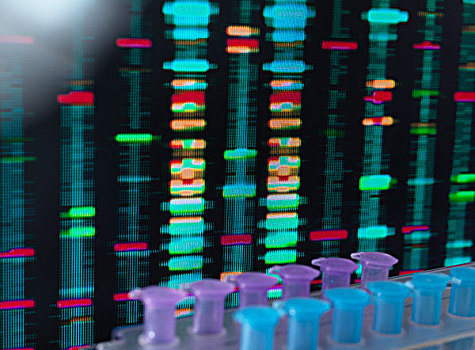 基因,研究,测验,电脑屏幕,实验室,托盘,样品,前景