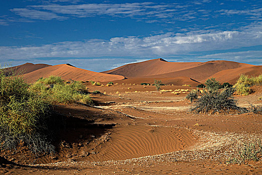 荒漠景观,纳米比沙漠,区域,纳米比亚,非洲