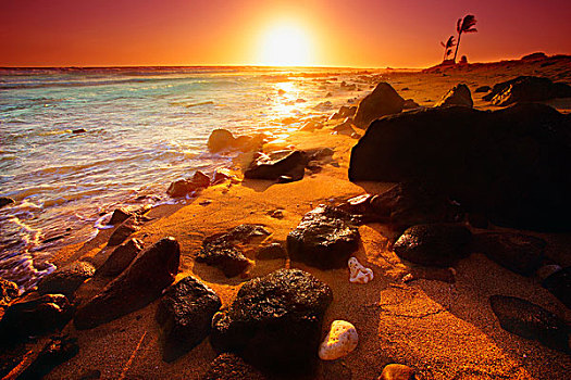 岩石,海岸线,夏威夷,美国