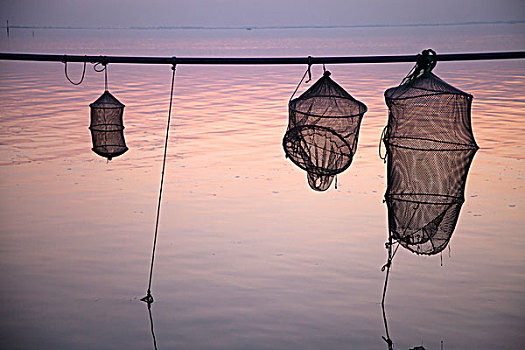 剪影,渔网,上方,安静,水
