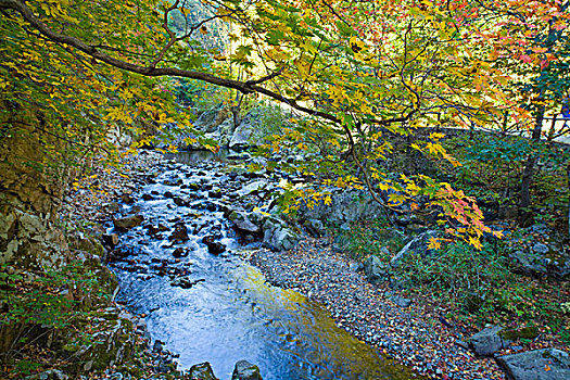 本溪,大石湖,景区,旅游,山坡,峡谷,山谷,植被,自然,风光,秋季,红叶,色彩,艳丽,湖水