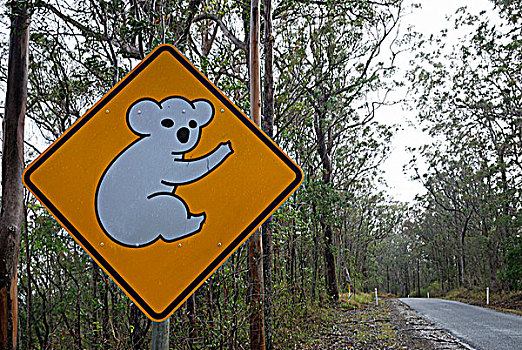 澳大利亚,昆士兰,树袋熊,路标