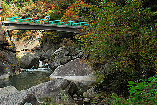 山梨县