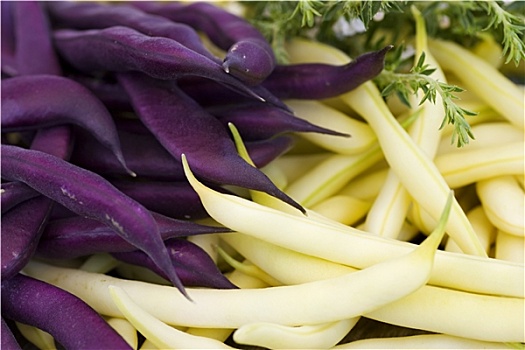 紫色,黄色,豆,药草,特写