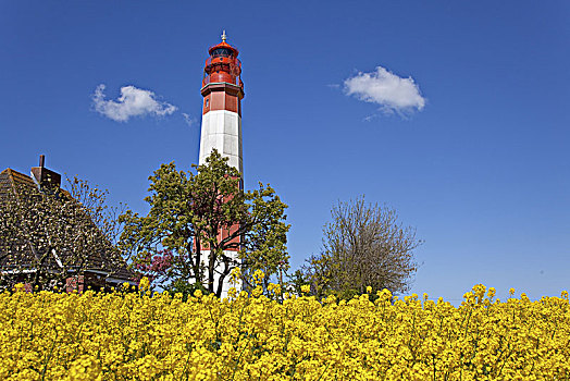 灯塔,岛屿,费马恩岛,石荷州,德国北部,德国