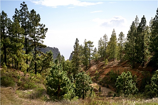 自然,风景,特内里费岛,西班牙