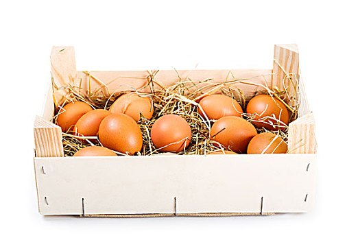 褐色,蛋,木盒,白色背景,背景