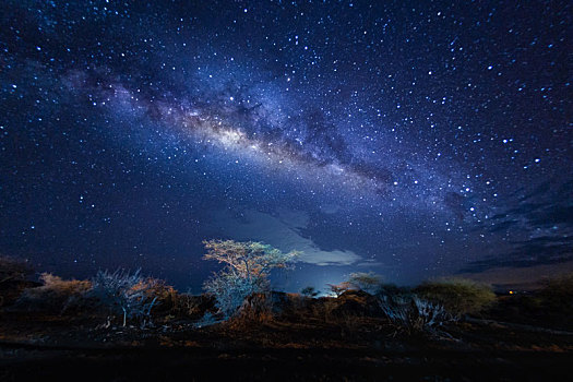 非洲大草原,星空