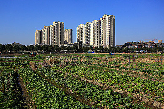 海曙,古林镇,楼房,地产,大楼,小区