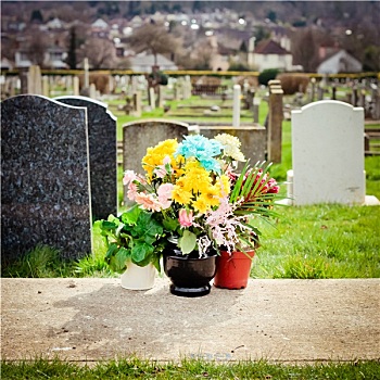 墓地,花