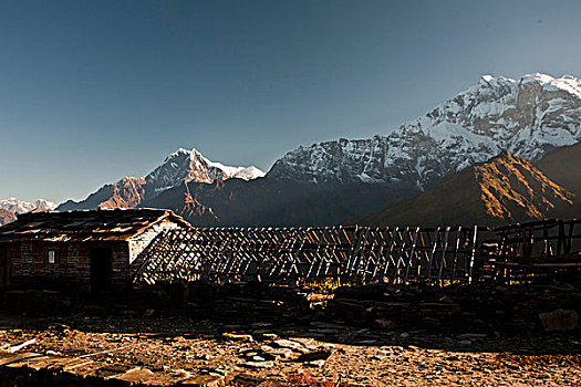 原始,蔽护,雪山,山脉,背景,尼泊尔,亚洲