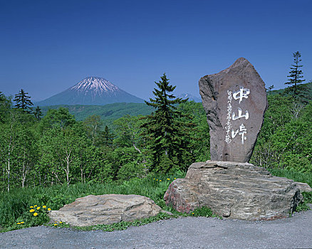 嫩绿色,山