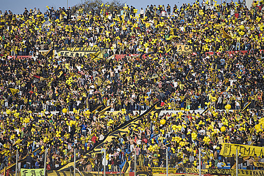足球,球迷,体育场,蒙得维的亚,乌拉圭