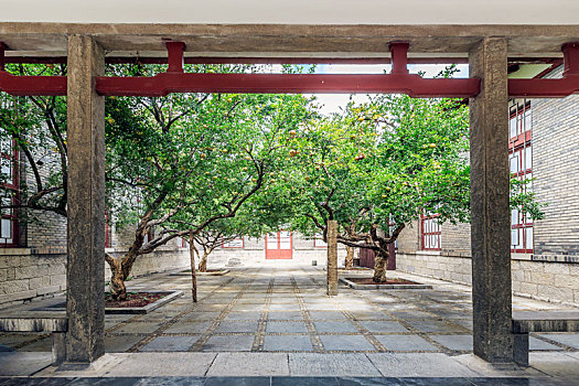 中式古建筑四合院内的老石榴树,济南市五龙潭公园