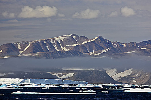 格陵兰,东方,浮冰,沿岸,风景,山景