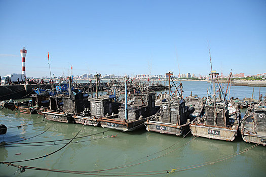 渔码头成了海鲜市场,吃货组团抢购肥美海鲜